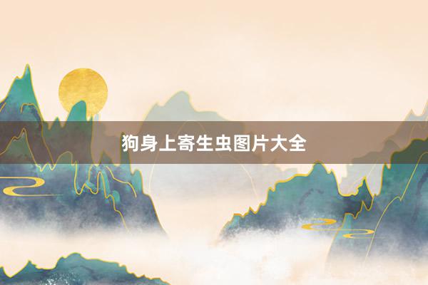 狗身上寄生虫图片大全